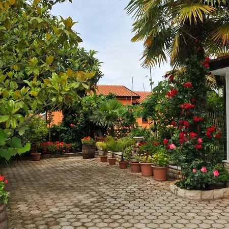 1a Lilly Vabriga With Sea View