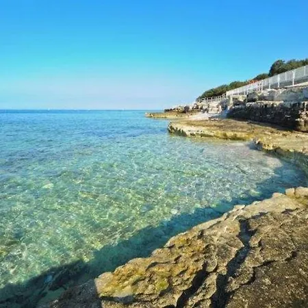 1a Lilly Vabriga With Sea View بيت ضيافة Tar-Vabriga